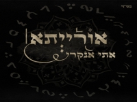 אתי אנקרי בסינגל חדש - "אורייתא"
