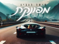 מיתר רובין בקאבר מחודש - "מפונקת"