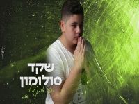 שקד סולומון בקאבר מחודש - "הוזה אותך מולי"