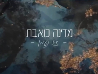 זיו נעמן בקאבר מחודש - "מדינה כואבת"