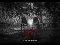 שלי מאיר בבלדה עצובה - "מילים שלא אמרתי"