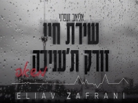 אליאב זעפרני במאשאפ - "זורק ת׳עניבה & שירת חיי"