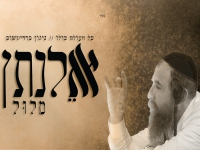 אלנתן מלול בניגון ניגון ברדיטשוב - "כל העולם כולו"