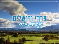 פרחי ירושלים בקאבר מחודש - "הנה ימים באים"