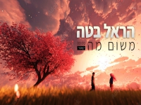 הראל בטה בקאבר מחודש - "משום מה"