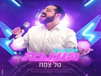 טל צמח בחפלה - "מחרוזת בוננזה 2023"