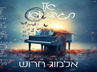 אלמוג חרוש בקאבר מחודש - "אל תגידי לא"
