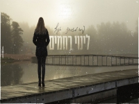 לינוי רחמים במאשאפ - "פיסה מזכרוני & אגרוף"