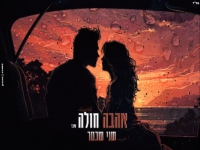 שני שכטר בקאבר מחודש - "אהבה חולה"