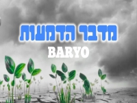 בריו בגרסה ווקאלית- "מדבר הדמעות"