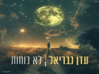 עדן גבריאל בבלדה מרגשת - "לא כוחות"