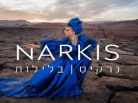 נרקיס בסינגל חדש - "בלילות"