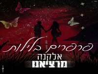 אלקנה מרציאנו בסינגל חדש - "פרפרים בלילות"