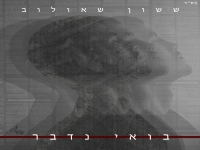 ששון שאולוב בבלדה מרגשת - "בואי נדבר"