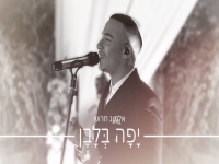 אלמוג חרוש בקאבר מחודש - "יפה בלבן"