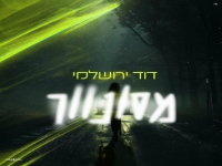 דוד ירושלמי פורץ בבלדה מרגשת - "מסונוור"