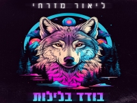ליאור מזרחי בבלדה מרגשת - "בודד בלילות"