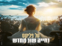 טל פליקס בסינגל חדש - "נחייה שוב מחדש"