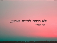 בר צברי בבלדה מרגשת - "לא רוצה להיות עצוב"