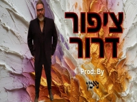 נאמן בסינגל חדש - "ציפור דרור"