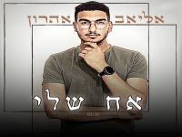 אליאב אהרון בקאבר מחודש - "אח שלי"
