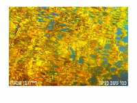 לירון בן שמעון בקאבר מחודש - "כמו עשב בניסן"