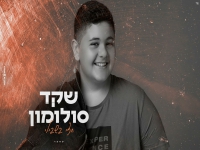 שקד סולומון בקאבר מחודש - "חצי בשבילי"