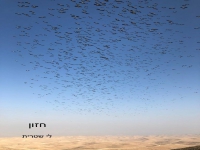 לי שטרית בסינגל חדש - "חזון"