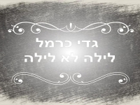 גדי כרמל בקאבר מחודש - "לילה לא לילה"