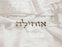 מאיר שטרית & אביחי שטרית בפיוט מחודש - "אוחילה"