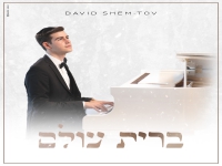 דוד שם טוב פורץ בבלדת חופות מרגשת - "ברית עולם"