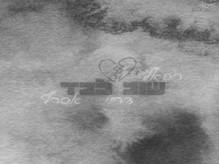 רפאל דריי אסרף בסינגל חדש - "שוב לבד"