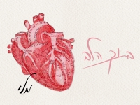מלי יקותיאל בסינגל חדש - "בתוך הלב"