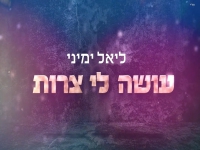 ליאל ימיני בקאבר מחודש - "עושה לי צרות"