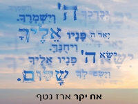 ארז נטף בסינגל חדש - "אח יקר"