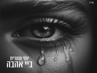 יוסי שטרית בבלדת נשמה - "ביי אהבה"