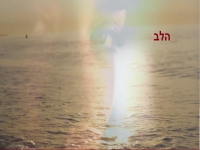 רוני אור בסינגל חדש - "הלב"