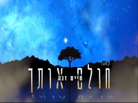 חיים זנה בקאבר מחודש - "חולם אותך"