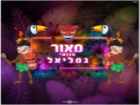 מאור גמליאל בסינגל חדש - "הוואי"