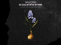 הפיל הכחול בבלדה עצובה - "שמיים מלאים כוכבים"