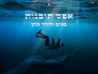 סגיב והדר כהן בדואט - "אפס תובנות"