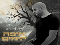 שניר זכריה בקאבר מחודש - "איפה הימים"