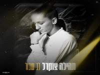 תהילה צוקרל בקאבר מחודש - "לב שבור"