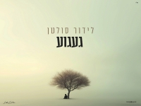 לידור סולטן בקאבר מחודש - "געגוע"