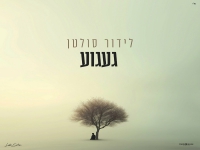 לידור סולטן בקאבר מחודש - "געגוע"