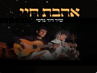 שיר דוד גדסי בקאבר מחודש - "אהבת חיי"