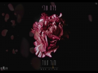 מור עטר בקאבר מחודש - "פרח שלי"