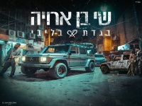 שי בן ארויה בקאבר מחודש - "בגדת בליבי"