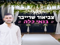 צביאור שרייבר פורץ בבלדה מרגשת - "בואי כלה"