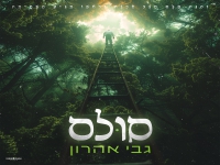 גבי אהרון בסינגל חדש - "סולם"
